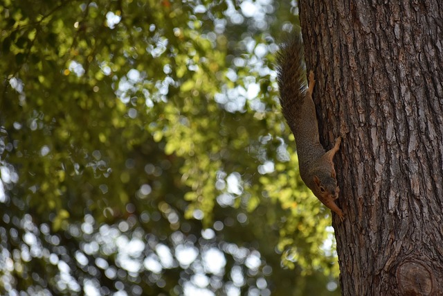 神仍激励着 神仍激励着
