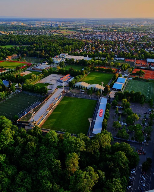 在这要求极 在这要求极