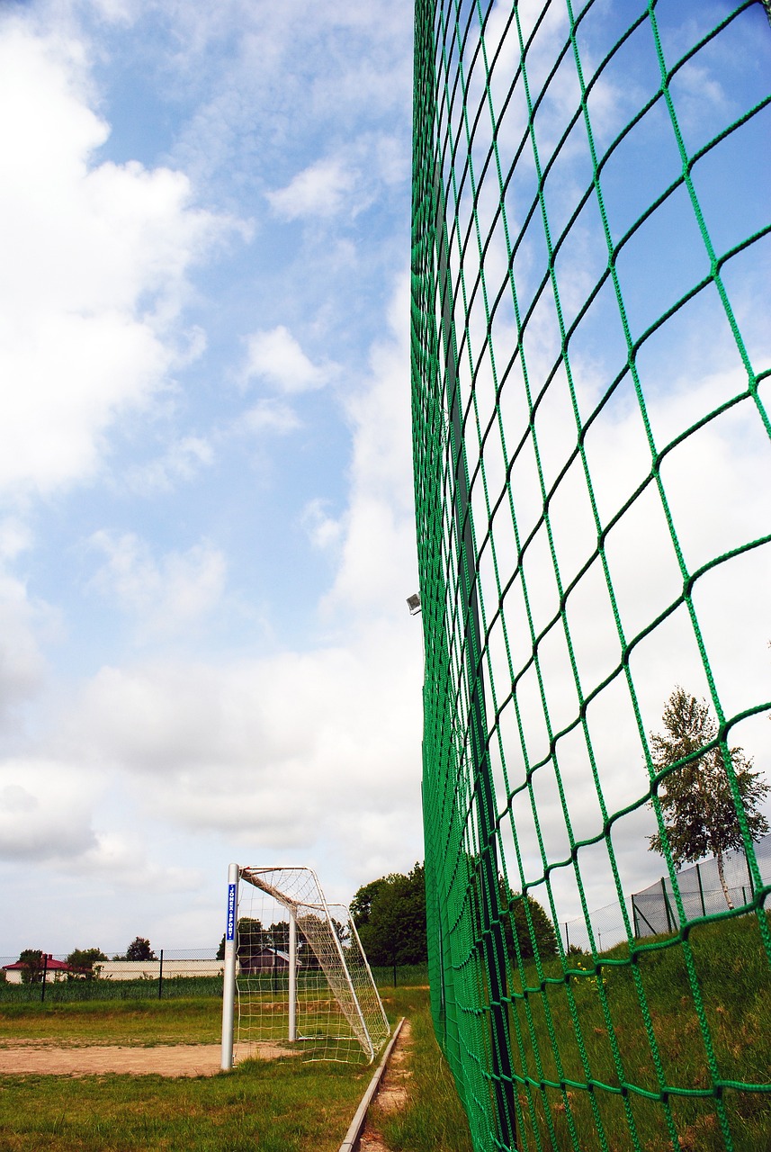 复苏势头强 复苏势头强