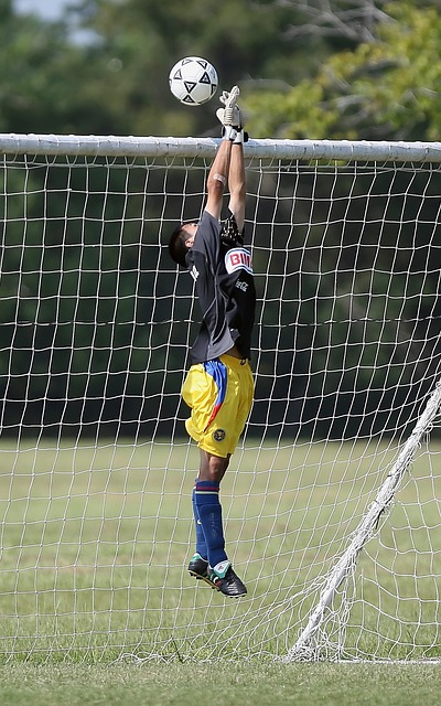 本赛季凭借 本赛季凭借