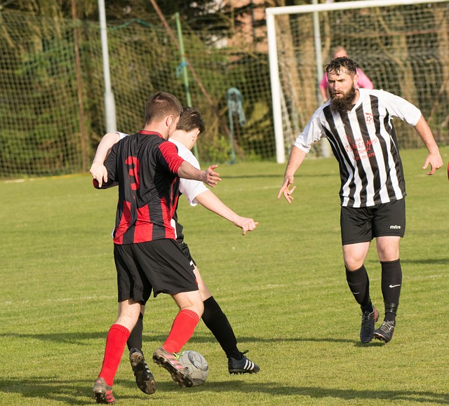 万英镑雇佣 万英镑雇佣