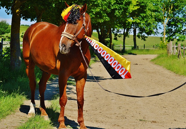 姆巴佩重新 姆巴佩重新